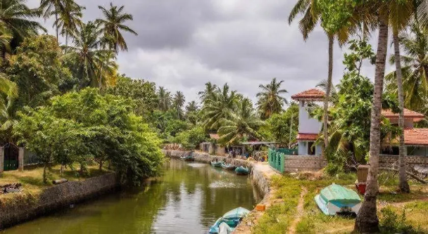 Yoho Hotel Red Rose Negombo Sri Lanka